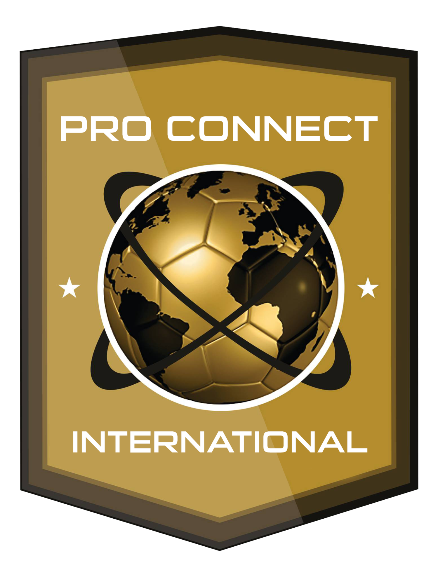 Pro Connect International